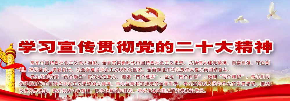 学习宣传贯彻党的二十大精神